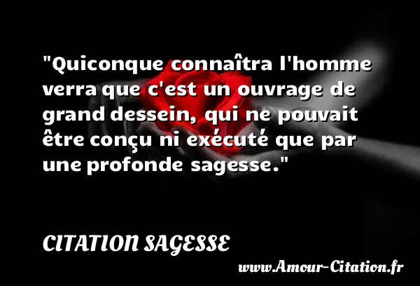 Quiconque connaîtra l homme verra que c est un ouvrage de grand dessein, qui ne pouvait être conçu ni exécuté que par une profonde sagesse.  CITATION SAGESSE