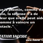  Sur le chemin, comme dans la vie, la sagesse n a de valeur que si elle peut aider l homme à vaincre un obstacle.  CITATION SAGESSE