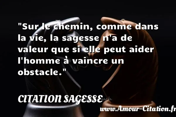 Sur le chemin, comme dans la vie, la sagesse n a de valeur que si elle peut aider l homme à vaincre un obstacle.  CITATION SAGESSE