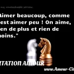  Aimer beaucoup, comme c est aimer peu ! On aime, rien de plus et rien de moins.  CITATION AMOUR