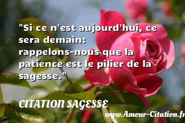 Si ce n est aujourd hui, ce sera demain: rappelons-nous que la patience est le pilier de la sagesse.  CITATION SAGESSE