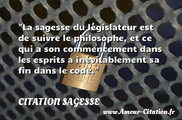 La sagesse du législateur est de suivre le philosophe, et ce qui a son commencement dans les esprits a inévitablement sa fin dans le code.  CITATION SAGESSE