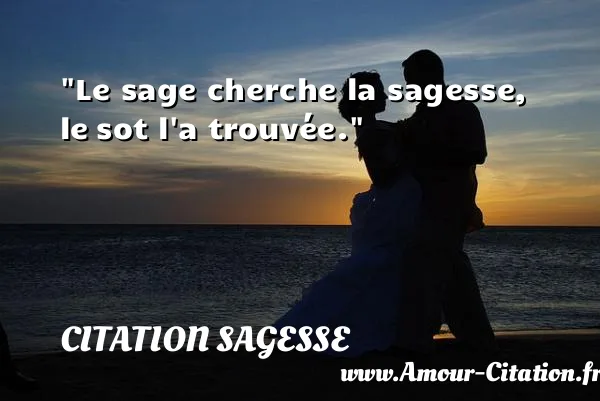 Le sage cherche la sagesse, le sot l a trouvée.  CITATION SAGESSE