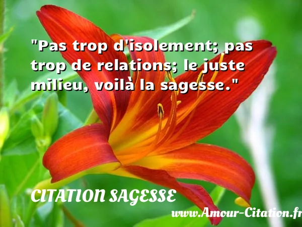 Pas trop d isolement; pas trop de relations; le juste milieu, voilà la sagesse. CITATION SAGESSE