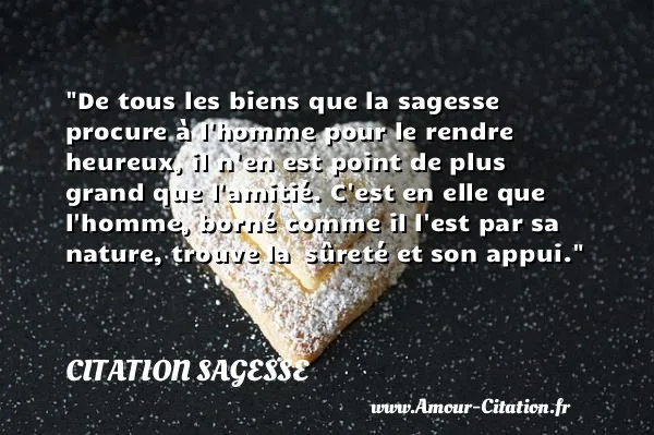 De tous les biens que la sagesse procure à l homme pour le rendre heureux, il n en est point de plus grand que l amitié. C est en elle que l homme, borné comme il l est par sa nature, trouve la  sûreté et son appui.  CITATION SAGESSE