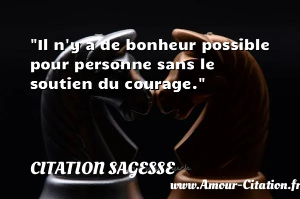Il n y a de bonheur possible pour personne sans le soutien du courage.  CITATION SAGESSE