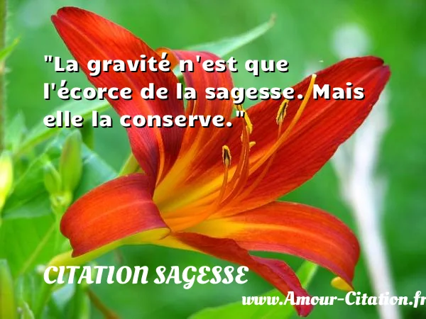 La gravité n est que l écorce de la sagesse. Mais elle la conserve.  CITATION SAGESSE
