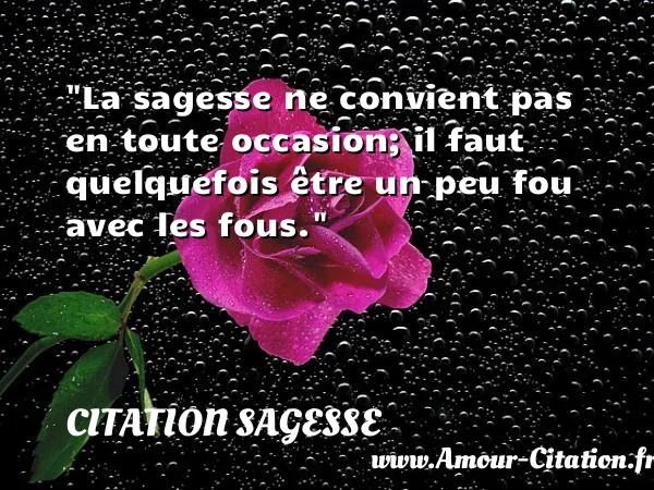 La sagesse ne convient pas en toute occasion; il faut quelquefois être un peu fou avec les fous.  CITATION SAGESSE