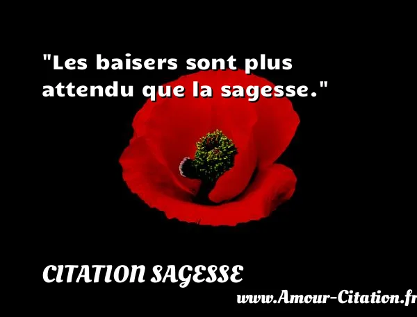 Les baisers sont plus attendu que la sagesse.  CITATION SAGESSE