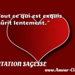  Tout ce qui est exquis mûrit lentement.  CITATION SAGESSE