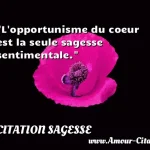  L opportunisme du coeur est la seule sagesse sentimentale.  CITATION SAGESSE