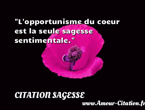L opportunisme du coeur est la seule sagesse sentimentale. CITATION SAGESSE