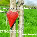  La sagesse est la force des faibles.  CITATION SAGESSE