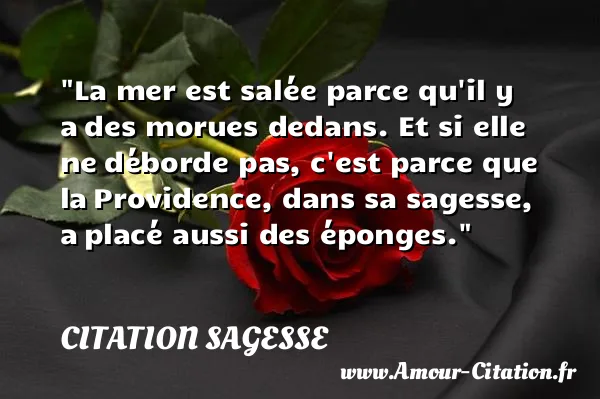 La mer est salée parce qu il y a des morues dedans. Et si elle ne déborde pas, c est parce que la Providence, dans sa sagesse, a placé aussi des éponges.  CITATION SAGESSE