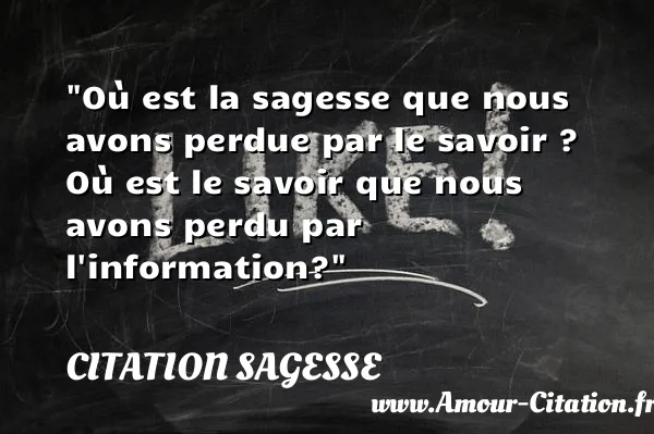 Où est la sagesse que nous avons perdue par le savoir ? Où est le savoir que nous avons perdu par l information?  CITATION SAGESSE