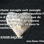  Fortune aveugle suit aveugle hardiesse. Le sage quelquefois fait bien d exécuter, Avant que de donner le temps à la sagesse d envisager le fait, et sans la consulter.  CITATION SAGESSE
