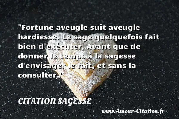 Fortune aveugle suit aveugle hardiesse. Le sage quelquefois fait bien d exécuter, Avant que de donner le temps à la sagesse d envisager le fait, et sans la consulter.  CITATION SAGESSE