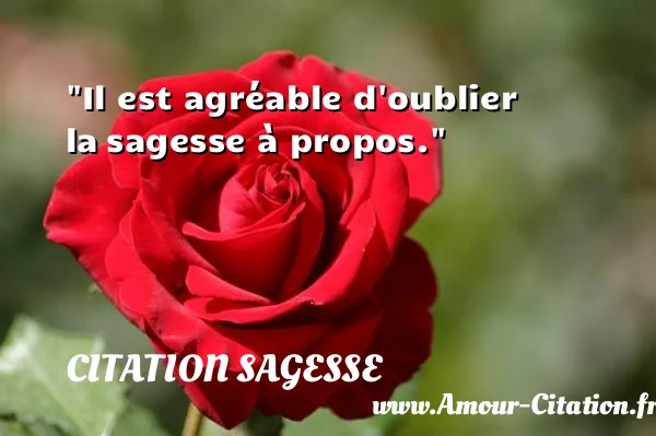 Il est agréable d oublier la sagesse à propos.  CITATION SAGESSE