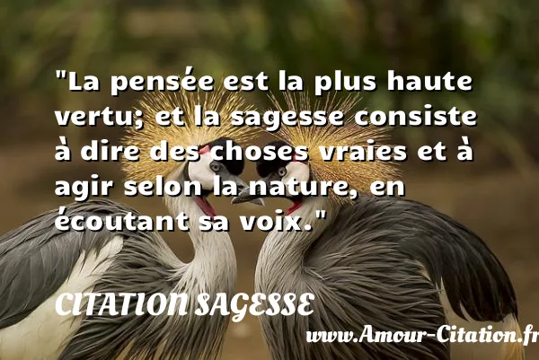 La pensée est la plus haute vertu; et la sagesse consiste à dire des choses vraies et à agir selon la nature, en écoutant sa voix.  CITATION SAGESSE