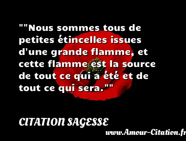 Nous sommes tous de petites étincelles issues d une grande flamme, et cette flamme est la source de tout ce qui a été et de tout ce qui sera.   CITATION SAGESSE