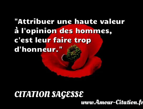 Attribuer une haute valeur à l opinion des hommes, c est leur faire trop d honneur. CITATION SAGESSE