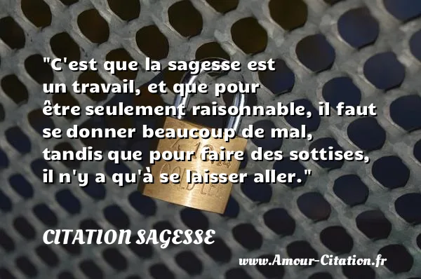C est que la sagesse est un travail, et que pour être seulement raisonnable, il faut se donner beaucoup de mal, tandis que pour faire des sottises, il n y a qu à se laisser aller. CITATION SAGESSE