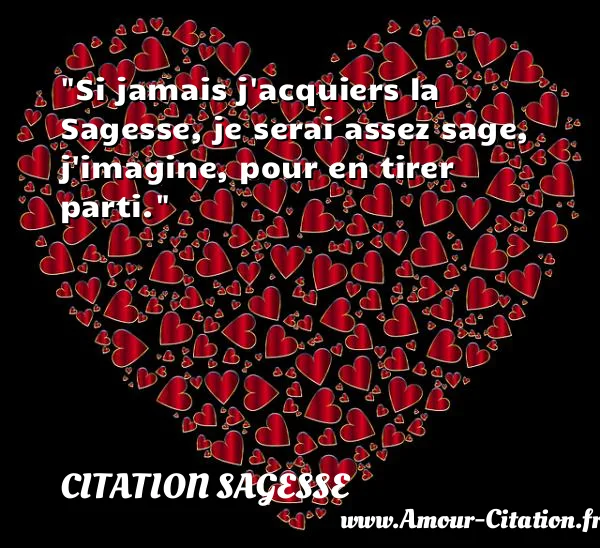 Si jamais j acquiers la Sagesse, je serai assez sage, j imagine, pour en tirer parti.  CITATION SAGESSE