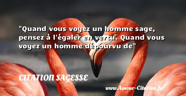 Quand vous voyez un homme sage, pensez à l égaler en vertu. Quand vous voyez un homme dépourvu de CITATION SAGESSE