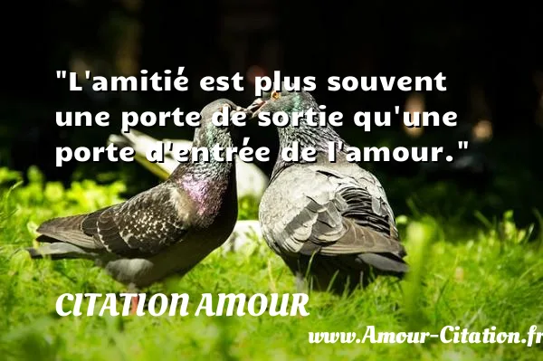 L amitié est plus souvent une porte de sortie qu une porte d entrée de l amour.  CITATION AMOUR
