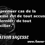  Le premier cas de la sagesse est de tout accuser. Le dernier: de tout concilier.  CITATION SAGESSE