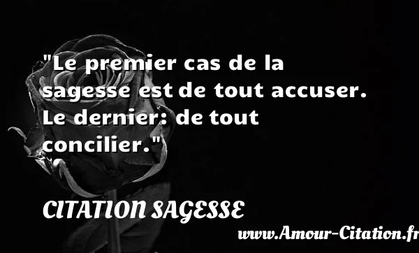 Le premier cas de la sagesse est de tout accuser. Le dernier: de tout concilier.  CITATION SAGESSE
