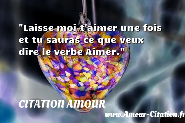 Laisse moi t aimer une fois et tu sauras ce que veux dire le verbe Aimer.  CITATION AMOUR