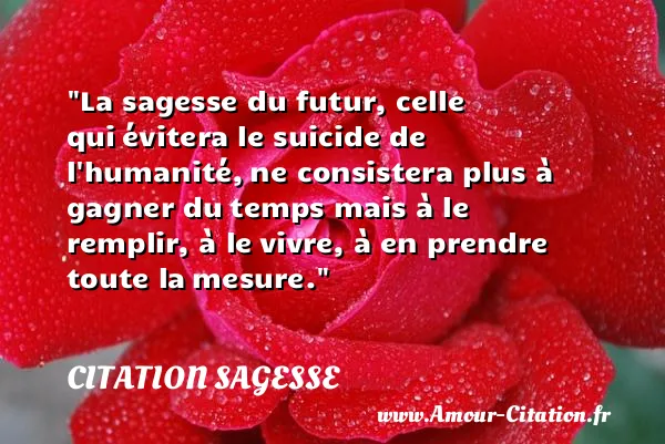 La sagesse du futur, celle qui évitera le suicide de l humanité, ne consistera plus à gagner du temps mais à le remplir, à le vivre, à en prendre toute la mesure.  CITATION SAGESSE