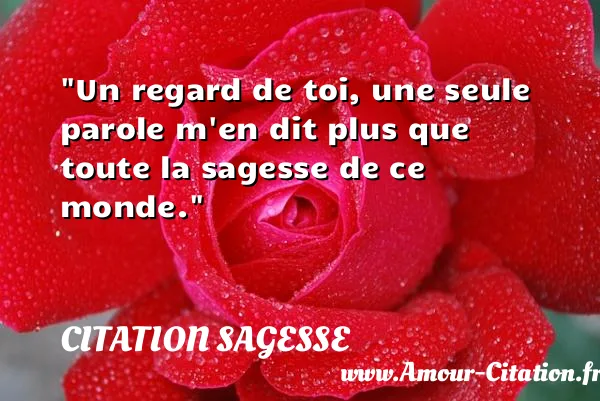 Un regard de toi, une seule parole m en dit plus que toute la sagesse de ce monde.  CITATION SAGESSE