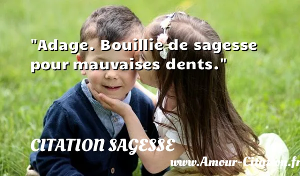 Adage. Bouillie de sagesse pour mauvaises dents.  CITATION SAGESSE