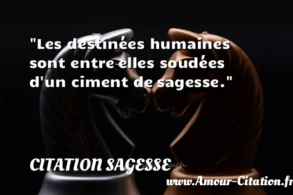 Les destinées humaines sont entre elles soudées d un ciment de sagesse.  CITATION SAGESSE
