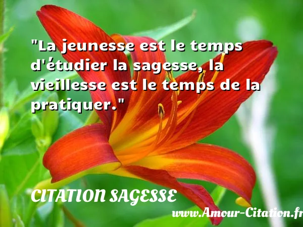 La jeunesse est le temps d étudier la sagesse, la vieillesse est le temps de la pratiquer.  CITATION SAGESSE