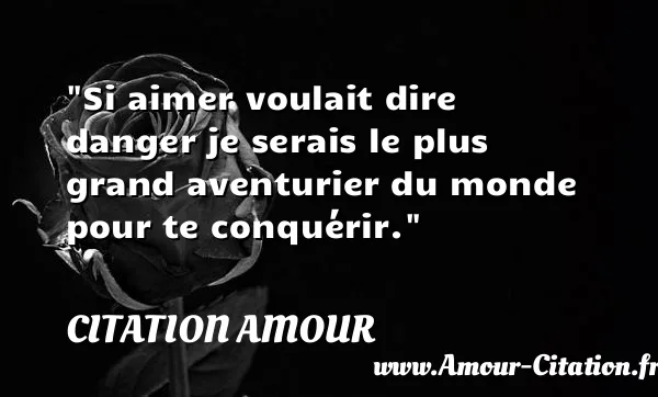 Si aimer voulait dire danger je serais le plus grand aventurier du monde pour te conquérir.  CITATION AMOUR