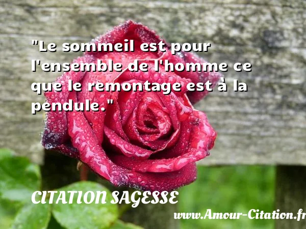 Le sommeil est pour l ensemble de l homme ce que le remontage est à la pendule. CITATION SAGESSE