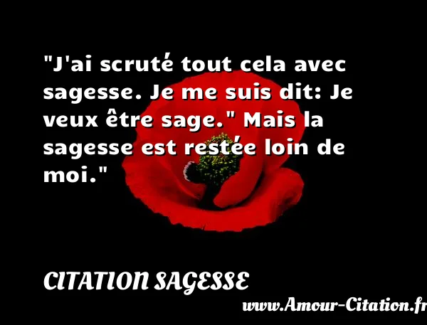 J ai scruté tout cela avec sagesse. Je me suis dit: Je veux être sage.  Mais la sagesse est restée loin de moi.  CITATION SAGESSE