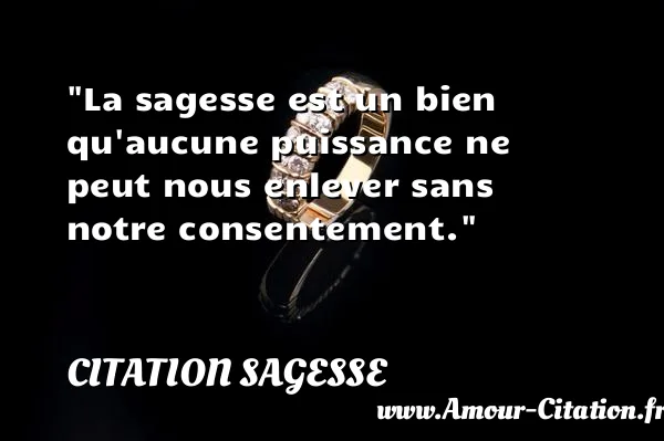 La sagesse est un bien qu aucune puissance ne peut nous enlever sans notre consentement.  CITATION SAGESSE