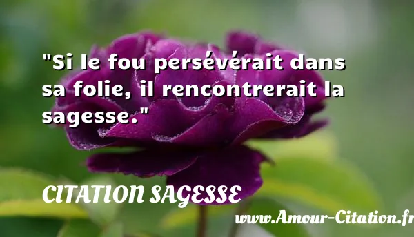 Si le fou persévérait dans sa folie, il rencontrerait la sagesse.  CITATION SAGESSE