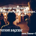  Un savoir multiple n enseigne pas la sagesse.  CITATION SAGESSE