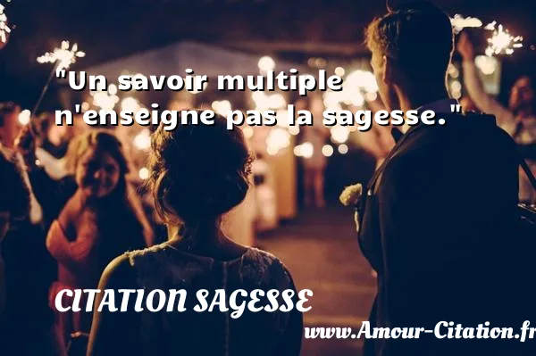 Un savoir multiple n enseigne pas la sagesse.  CITATION SAGESSE