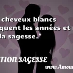  Les cheveux blancs marquent les années et non pas la sagesse.  CITATION SAGESSE