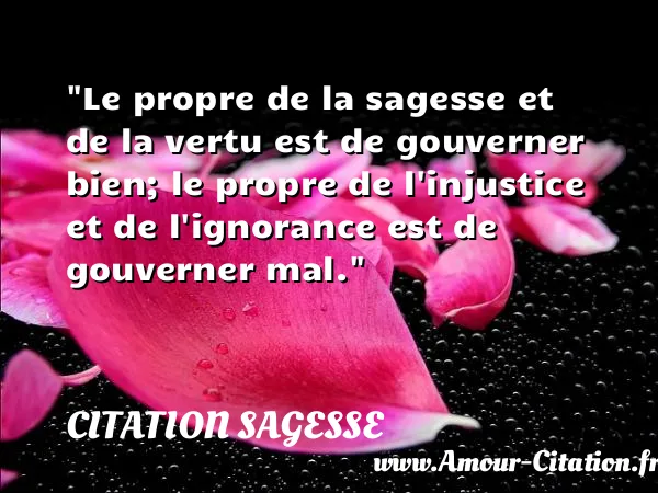Le propre de la sagesse et de la vertu est de gouverner bien; le propre de l injustice et de l ignorance est de gouverner mal.  CITATION SAGESSE