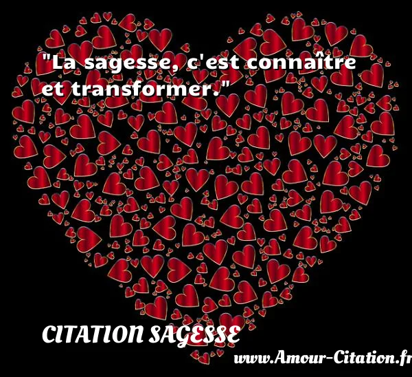 La sagesse, c est connaître et transformer.  CITATION SAGESSE