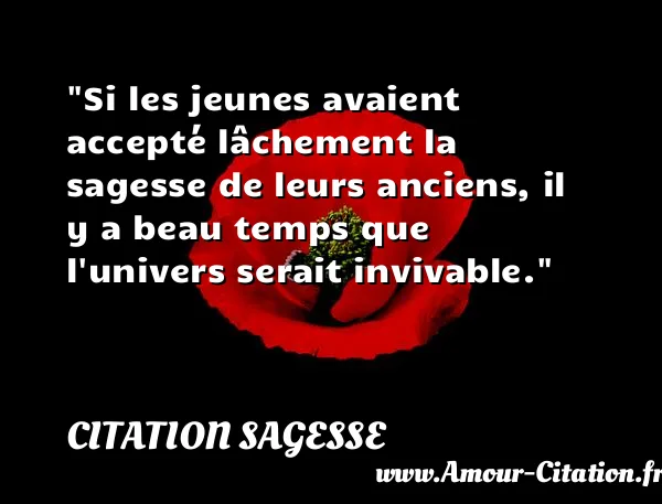 Si les jeunes avaient accepté lâchement la sagesse de leurs anciens, il y a beau temps que l univers serait invivable.  CITATION SAGESSE