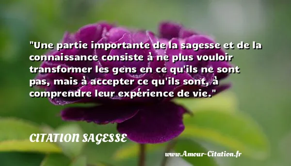 Une partie importante de la sagesse et de la connaissance consiste à ne plus vouloir transformer les gens en ce qu ils ne sont pas, mais à accepter ce qu ils sont, à comprendre leur expérience de vie.  CITATION SAGESSE