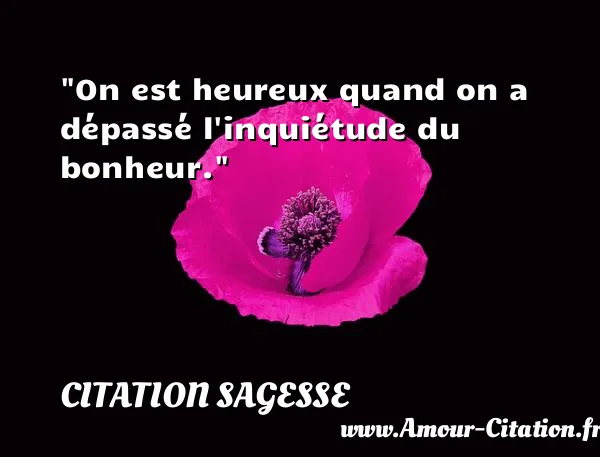 On est heureux quand on a dépassé l inquiétude du bonheur. CITATION SAGESSE